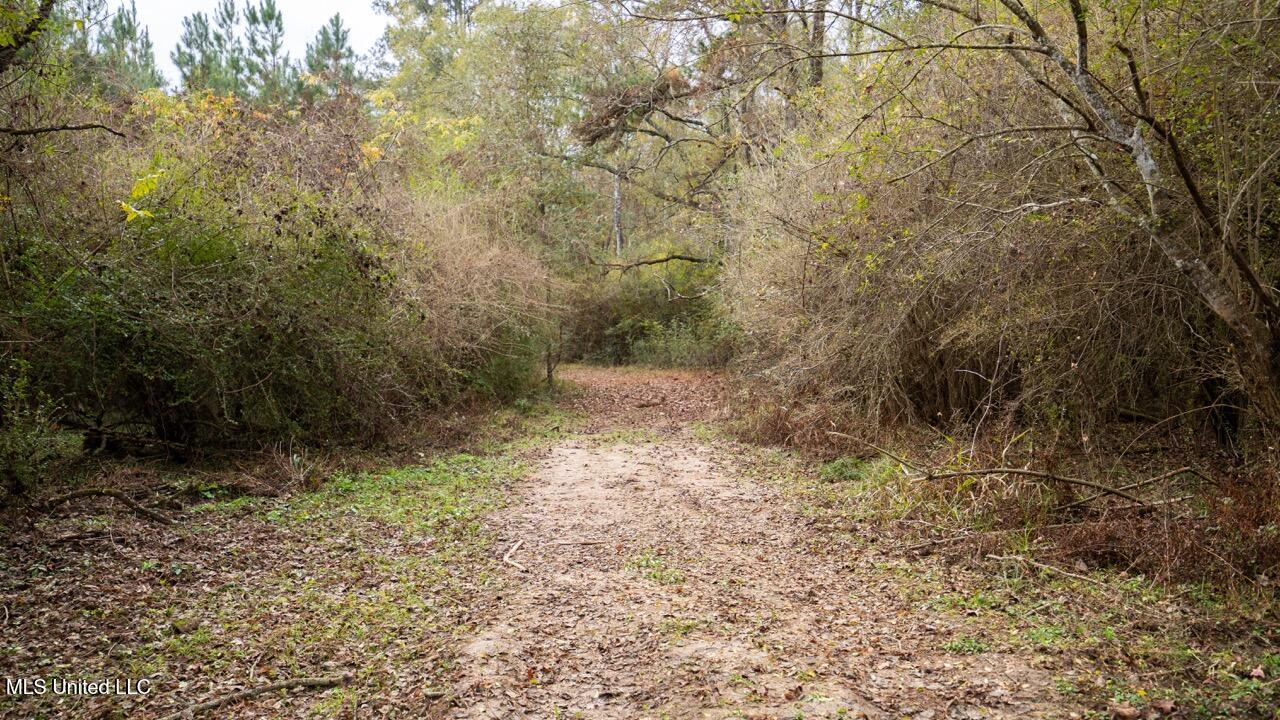 3448 Lower Centreville Road Liberty, MS 39645 - Photo 16 of 36 ZTS08038 Large