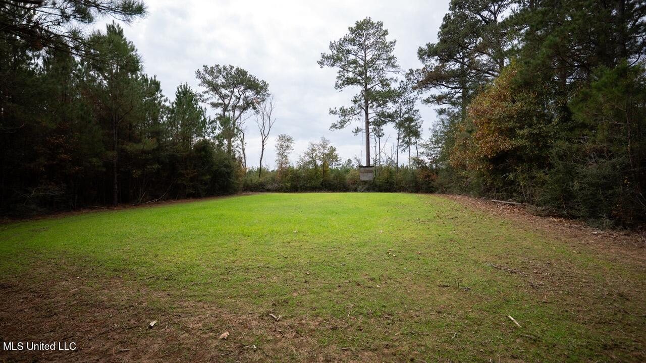 3448 Lower Centreville Road Liberty, MS 39645 - Photo 18 of 36 ZTS08046 Large