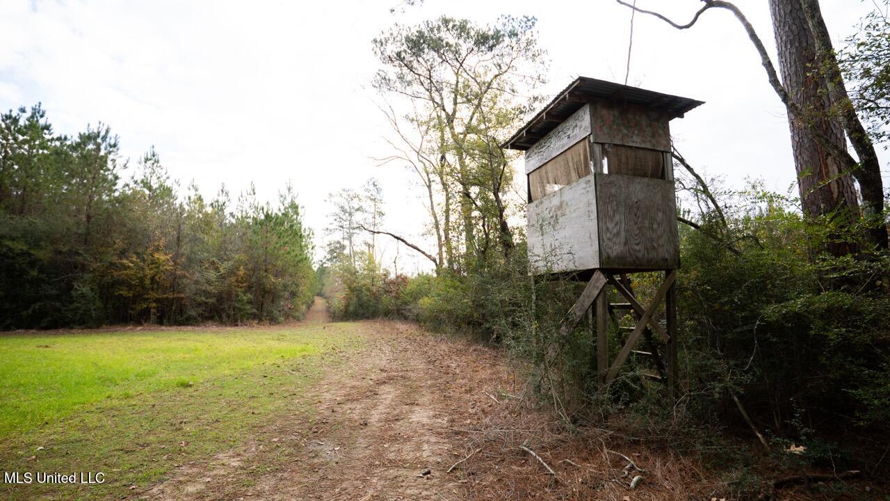 3448 Lower Centreville Road Liberty, MS 39645 - Photo 19 of 36 ZTS08051 Large
