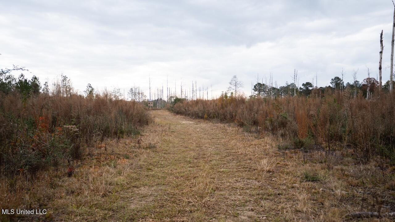 3448 Lower Centreville Road Liberty, MS 39645 - Photo 21 of 36 ZTS08067 Large