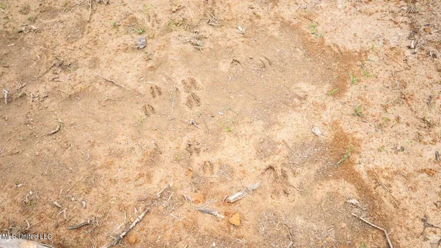 $1,325,250 | 3448 Lower Centreville Road, Liberty, MS 39645