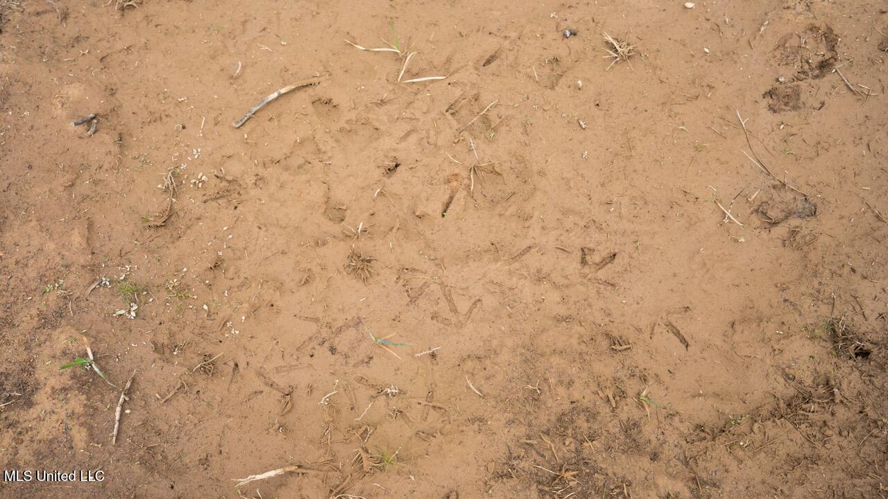 3448 Lower Centreville Road Liberty, MS 39645 - Photo 23 of 36 ZTS08074 Large