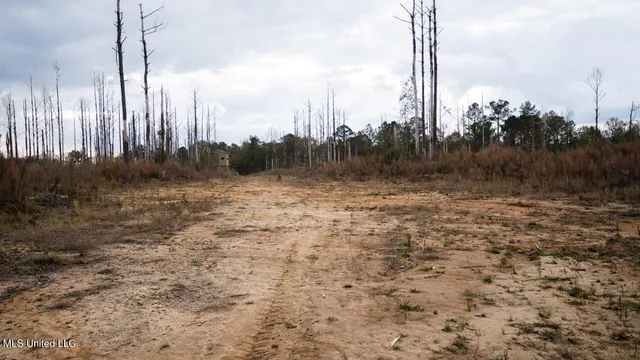 $1,325,250 | 3448 Lower Centreville Road, Liberty, MS 39645