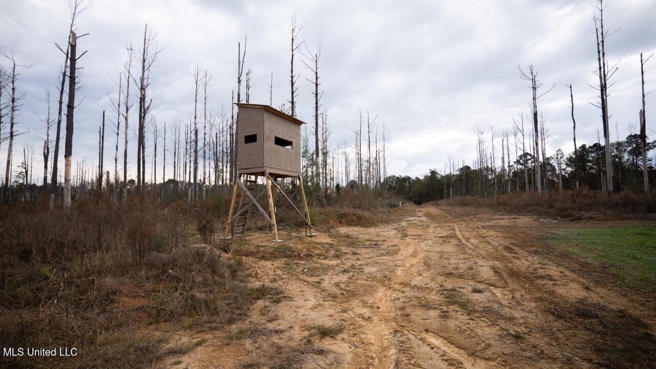 3448 Lower Centreville Road Liberty, MS 39645 - Photo 25 of 36 ZTS08081 Large