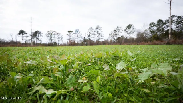 $1,325,250 | 3448 Lower Centreville Road, Liberty, MS 39645