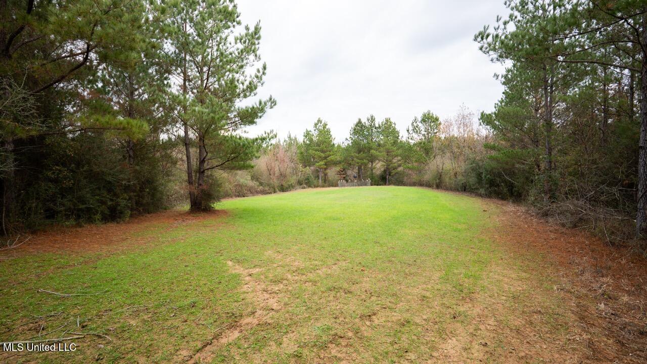 3448 Lower Centreville Road Liberty, MS 39645 - Photo 28 of 36 ZTS08106 Large