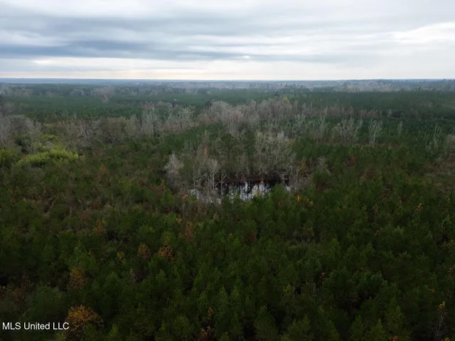 $1,325,250 | 3448 Lower Centreville Road, Liberty, MS 39645