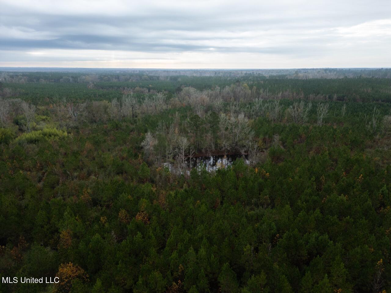 3448 Lower Centreville Road Liberty, MS 39645 - Photo 3 of 36 DJI_0033 Large