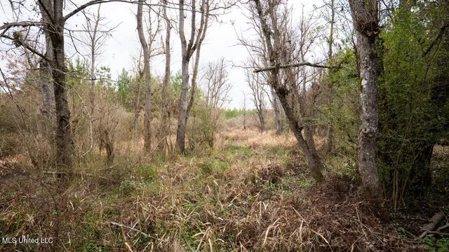 $1,325,250 | 3448 Lower Centreville Road, Liberty, MS 39645