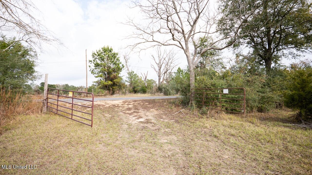 3448 Lower Centreville Road Liberty, MS 39645 - Photo 32 of 36 ZTS08119 Large