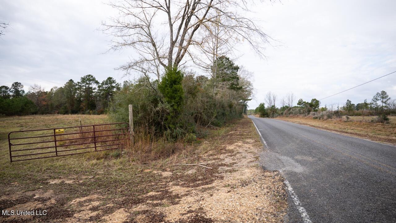 3448 Lower Centreville Road Liberty, MS 39645 - Photo 33 of 36 ZTS08125 Large