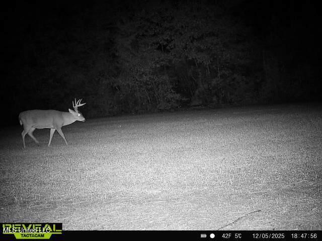 3448 Lower Centreville Road Liberty, MS 39645 - Photo 34 of 36 865814049