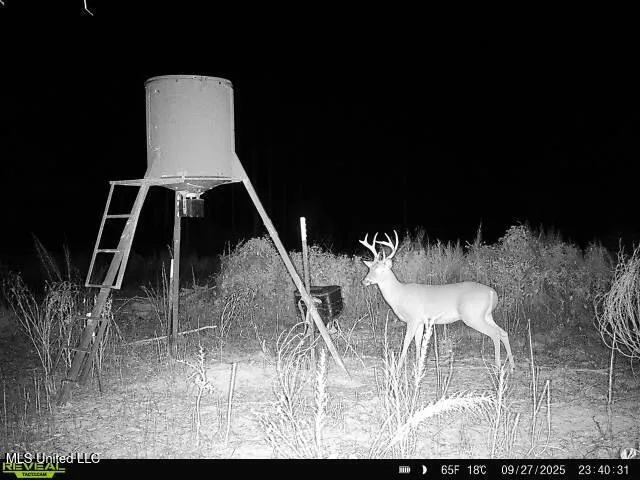 $1,325,250 | 3448 Lower Centreville Road, Liberty, MS 39645