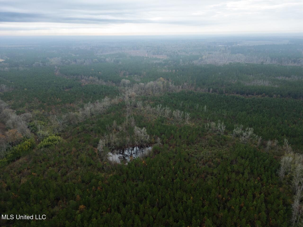 3448 Lower Centreville Road Liberty, MS 39645 - Photo 4 of 36 DJI_0040 Large