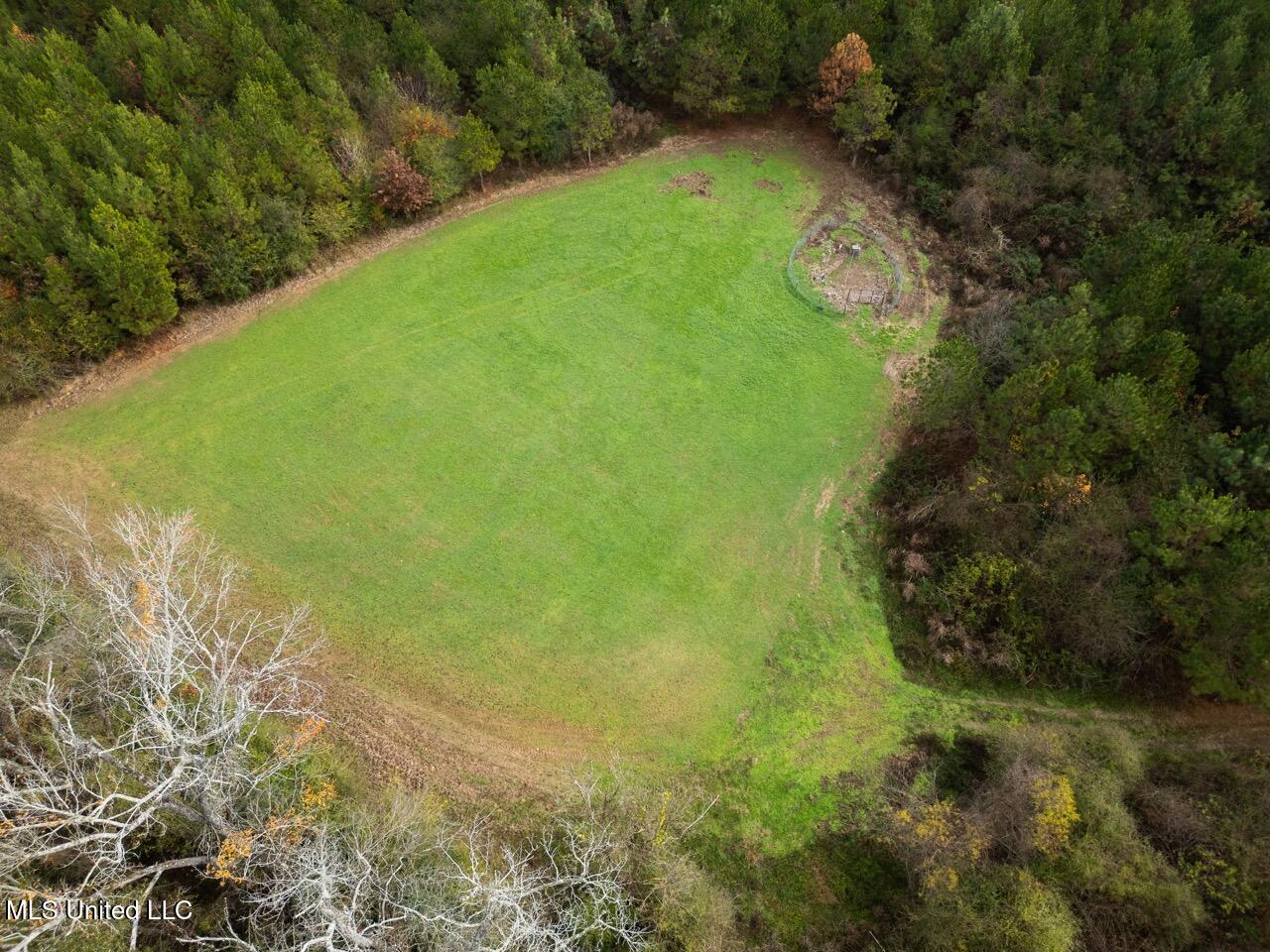 3448 Lower Centreville Road Liberty, MS 39645 - Photo 5 of 36 DJI_0048 Large