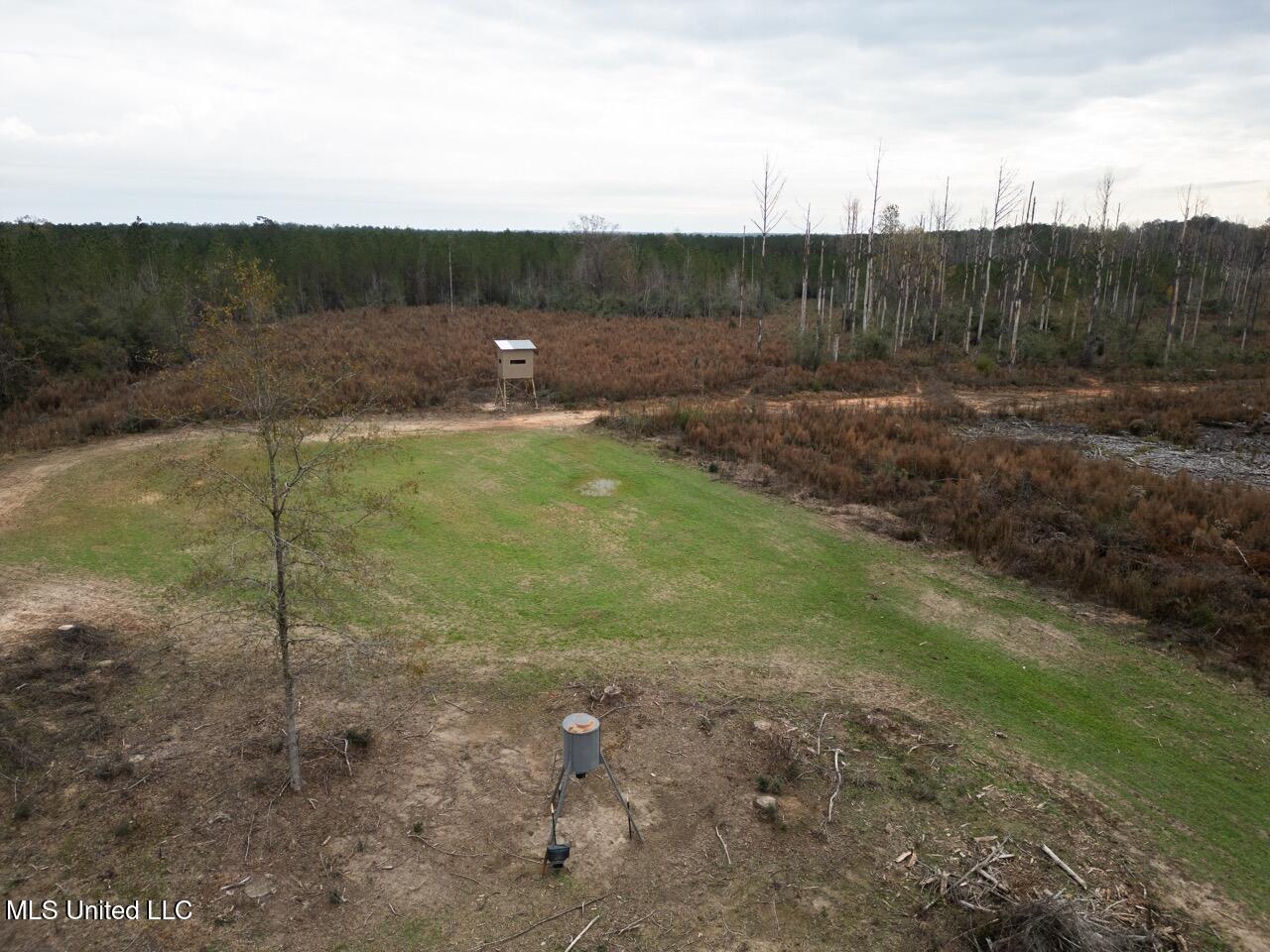 3448 Lower Centreville Road Liberty, MS 39645 - Photo 6 of 36 DJI_0060 Large
