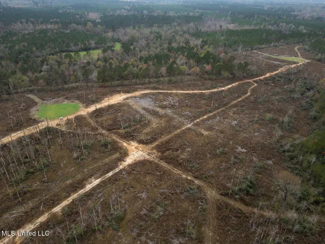 $1,325,250 | 3448 Lower Centreville Road, Liberty, MS 39645