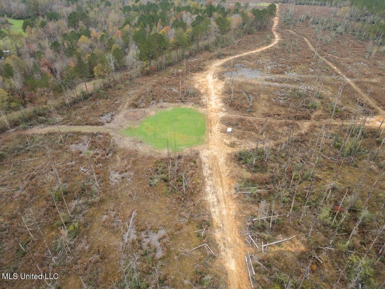3448 Lower Centreville Road Liberty, MS 39645 - Photo 8 of 36 DJI_0070 Large
