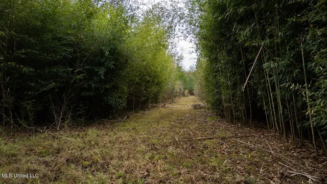 $1,325,250 | 3448 Lower Centreville Road, Liberty, MS 39645