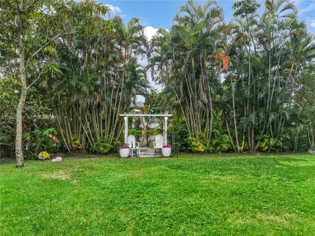 a view of a yard with plants and large trees