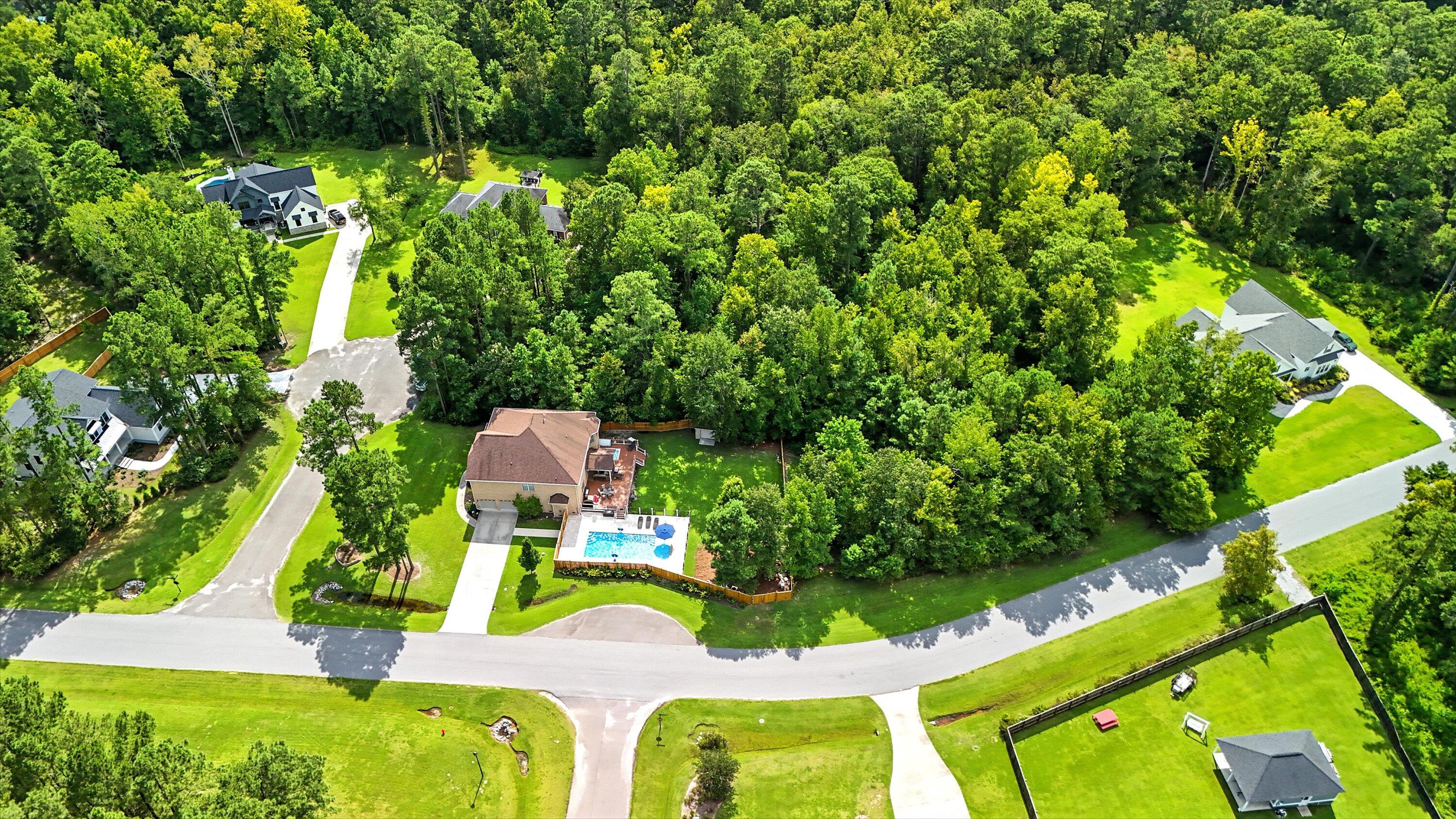 1200 Jump Seed Court Moncks Corner, SC 29461 - Photo 43 of 51 Ariel view