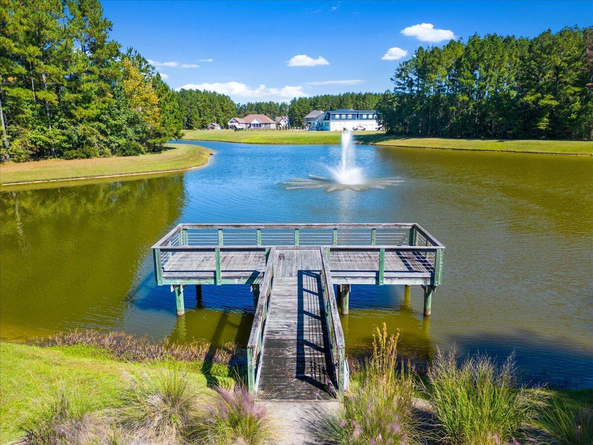 1200 Jump Seed Court Moncks Corner, SC 29461 - Photo 47 of 51 Neighborhood Dock