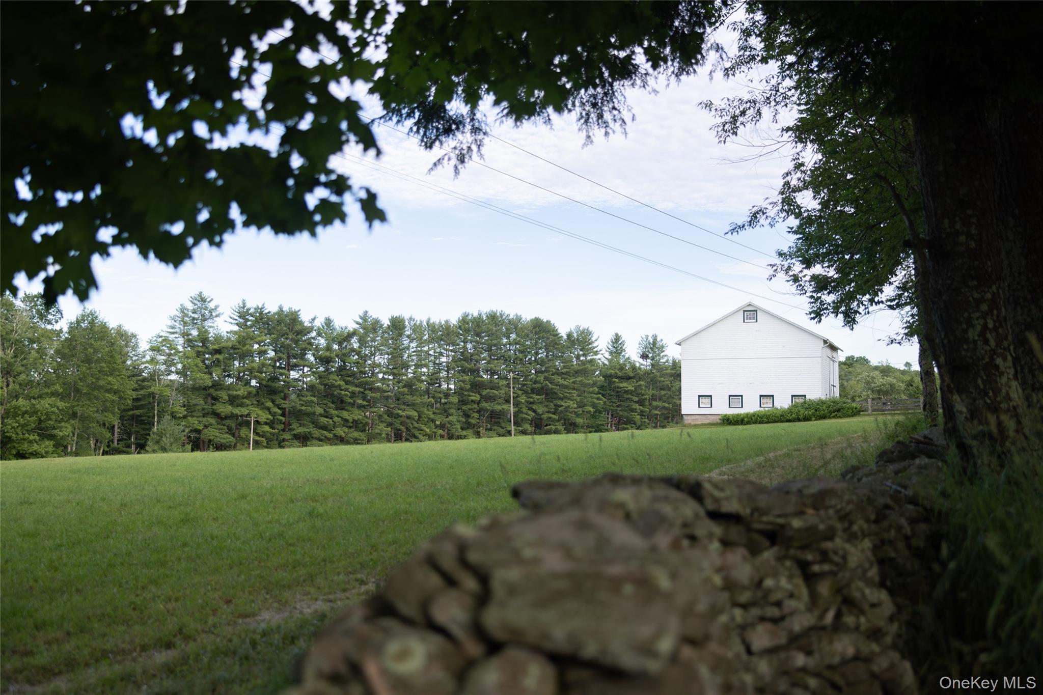 49 Crumley Van Vactor Road Ferndale, NY 12734 - Photo 20 of 50 View of green lawn