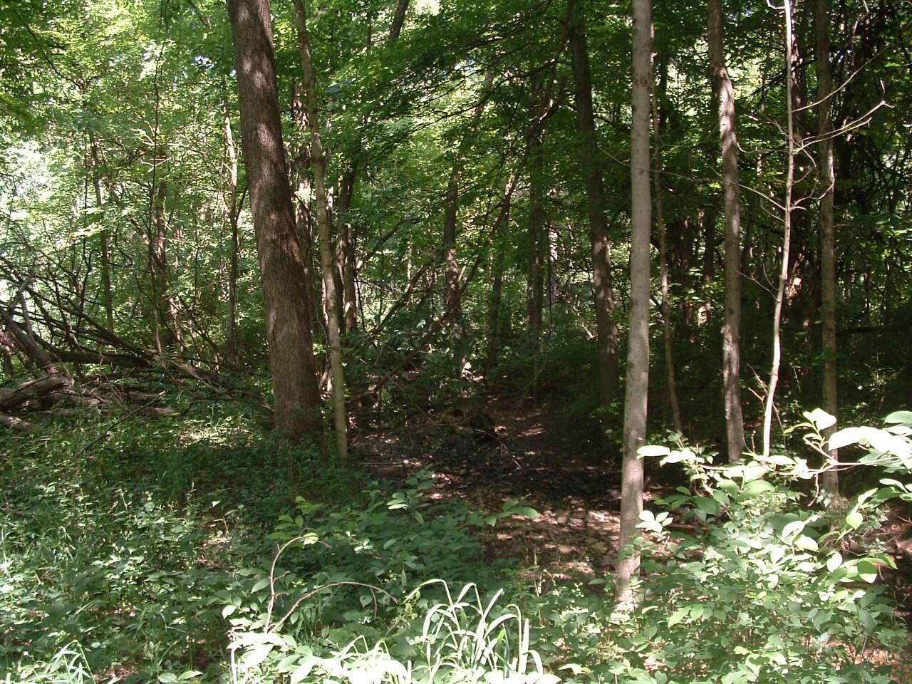 9311 Jug St Road Northwest Pataskala, OH 43062 - Photo 45 of 83 DSCF0027