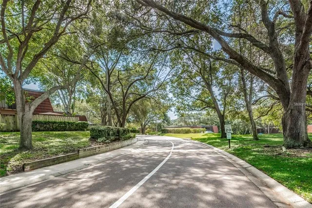 a view of a swimming pool with lounge chair