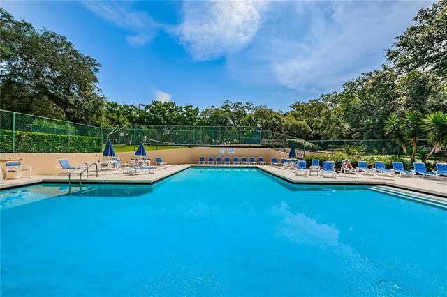 a view of a street with potted plants and large tree