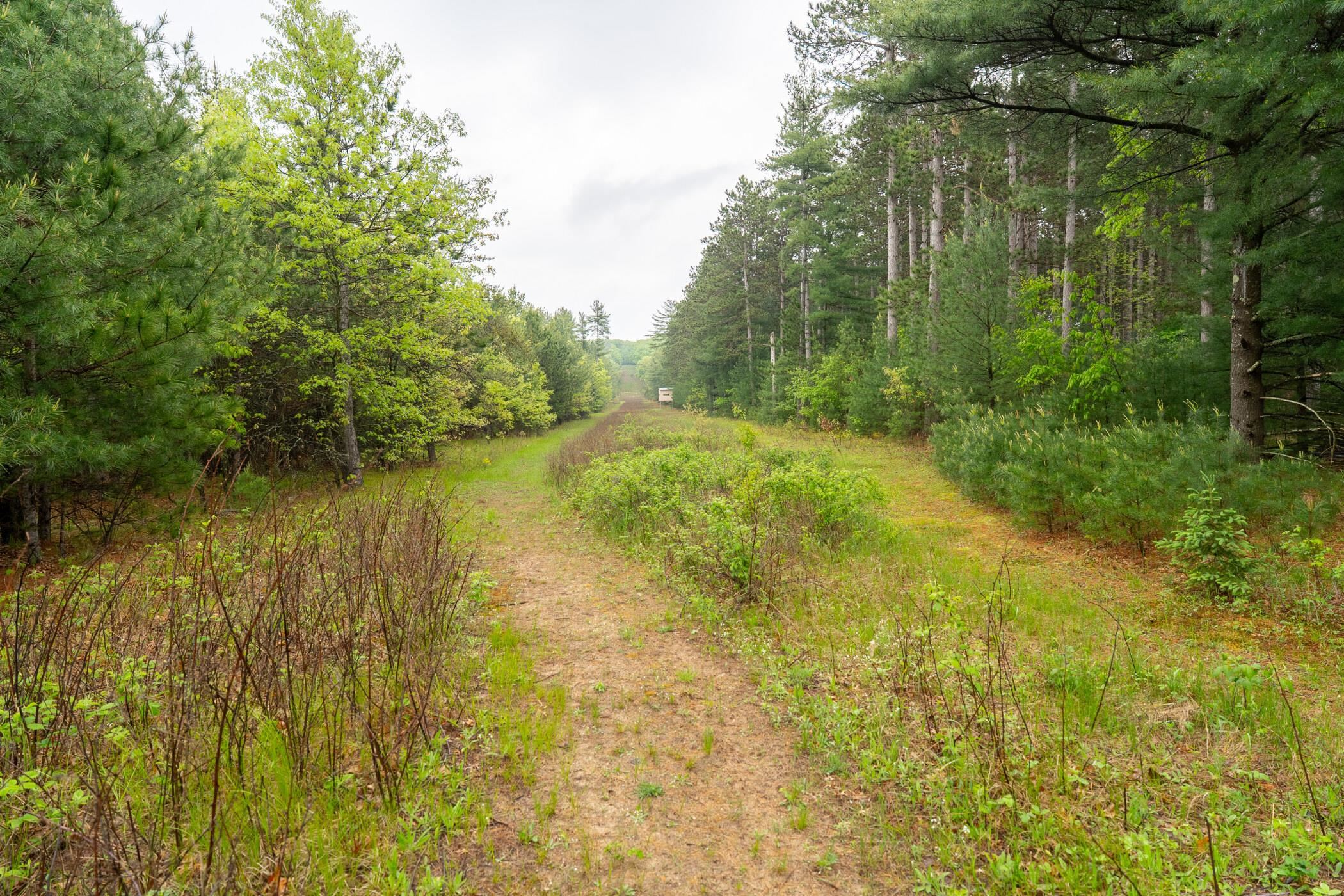 1804 4th Drive Friendship, WI 53934 - Photo 28 of 50
