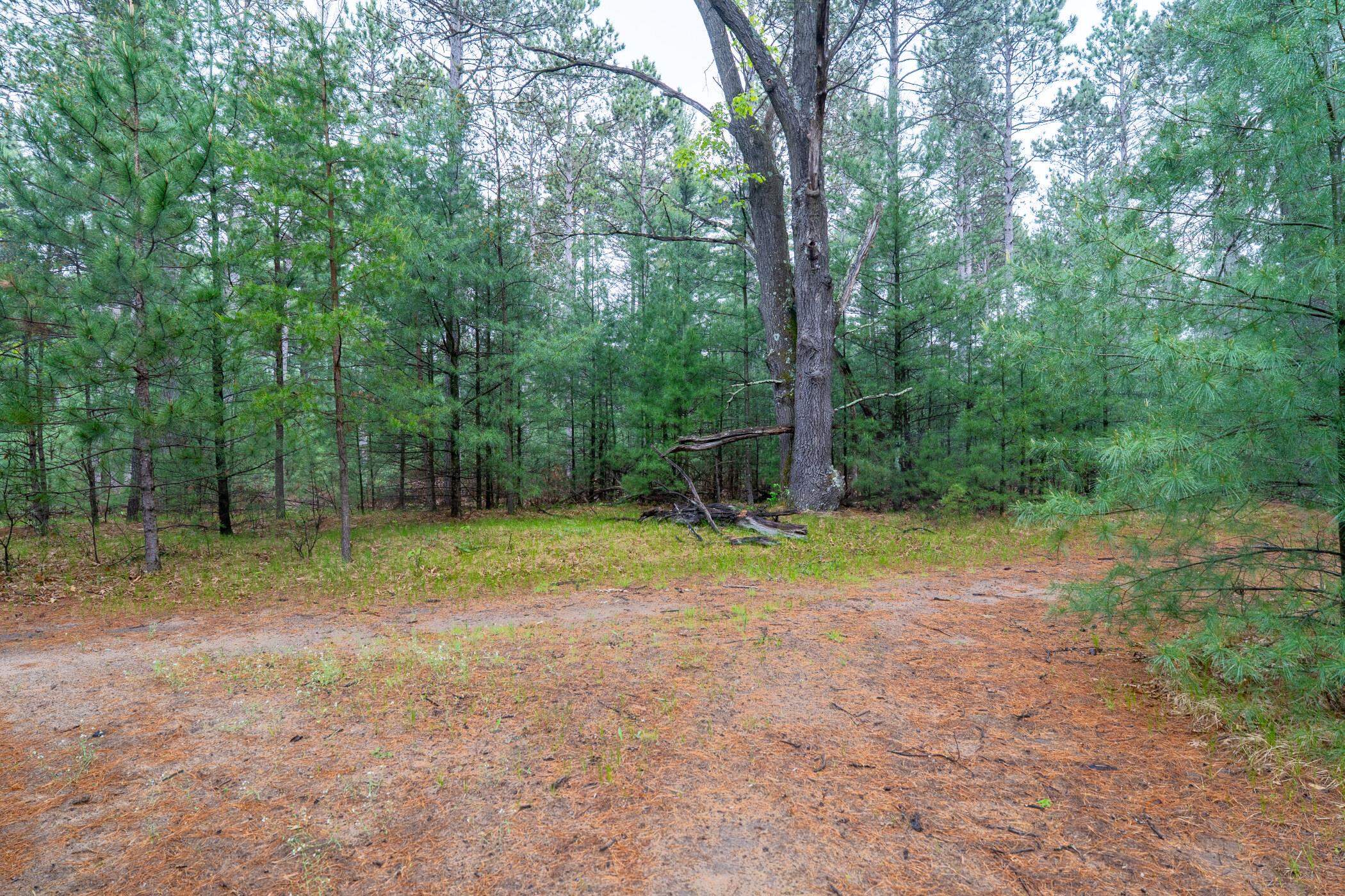 1804 4th Drive Friendship, WI 53934 - Photo 31 of 50