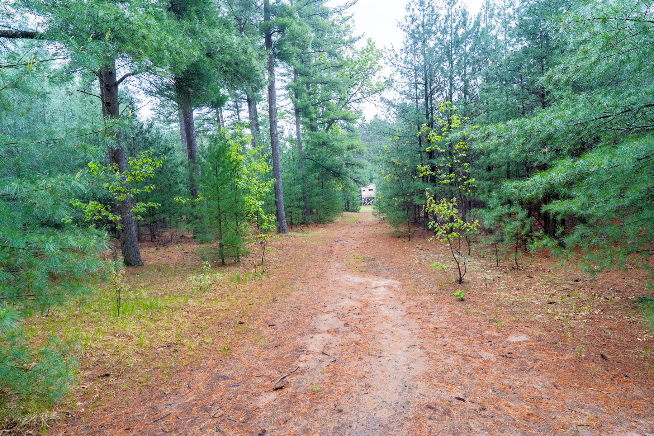 1804 4th Drive Friendship, WI 53934 - Photo 32 of 50