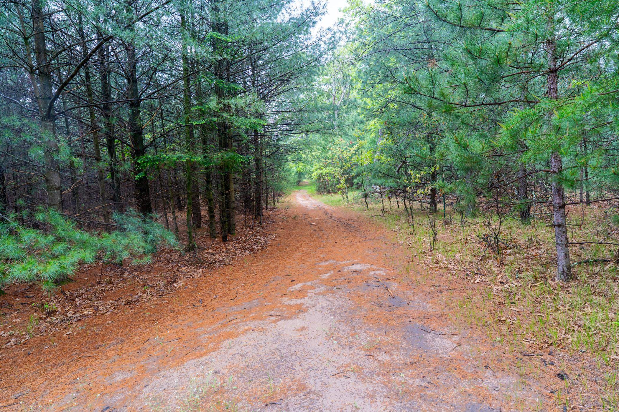 1804 4th Drive Friendship, WI 53934 - Photo 33 of 50