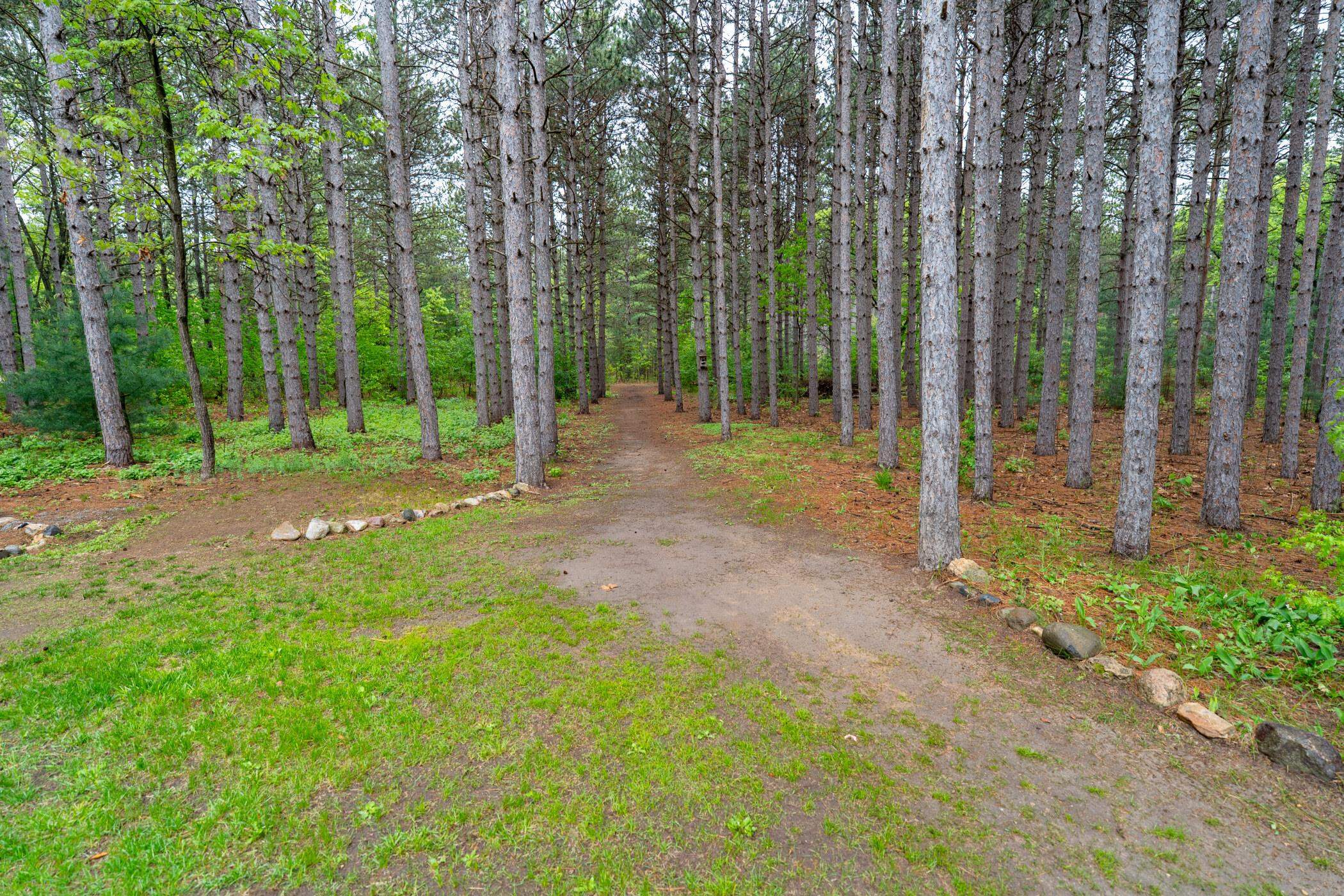 1804 4th Drive Friendship, WI 53934 - Photo 34 of 50