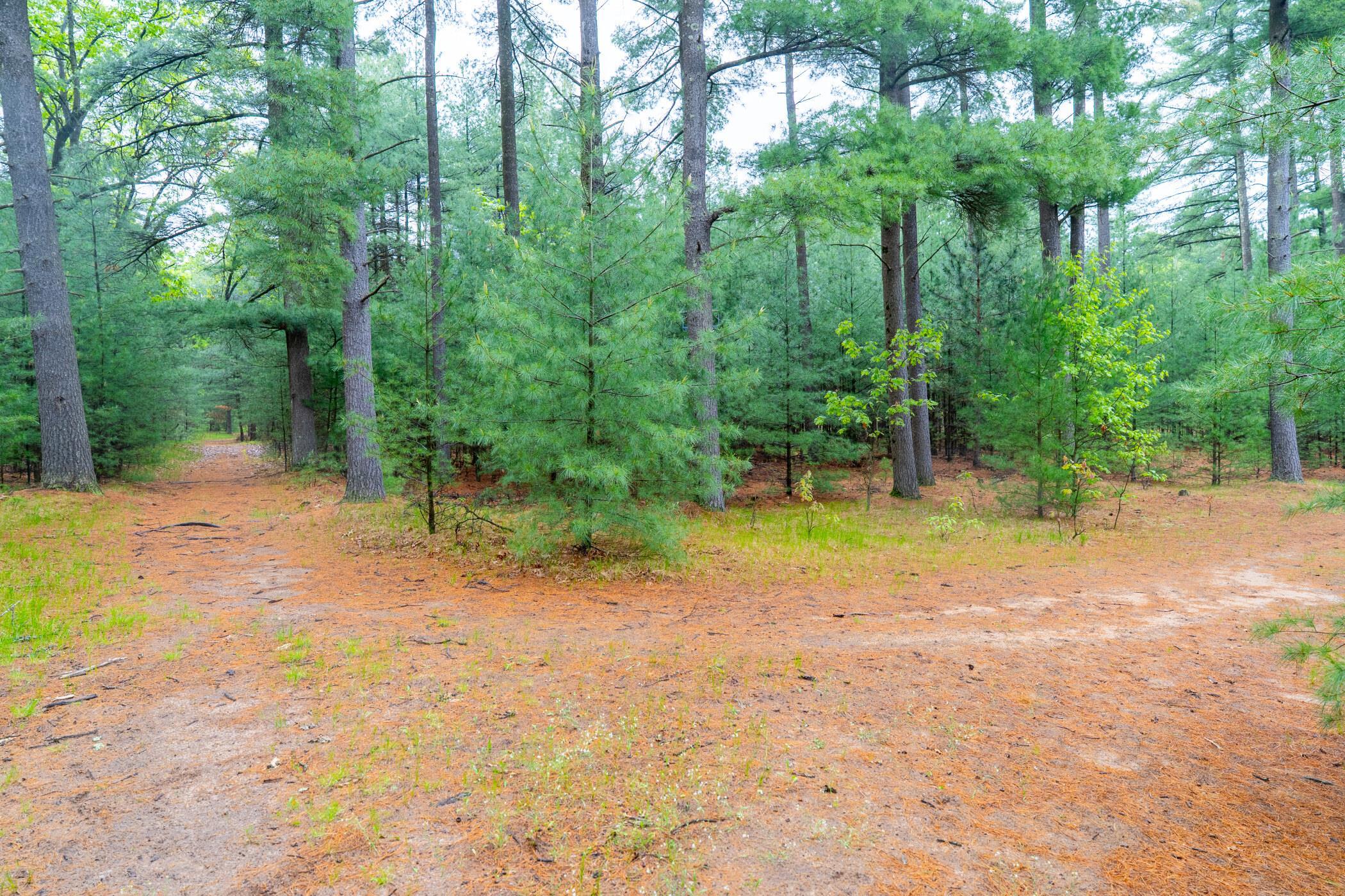 1804 4th Drive Friendship, WI 53934 - Photo 35 of 50