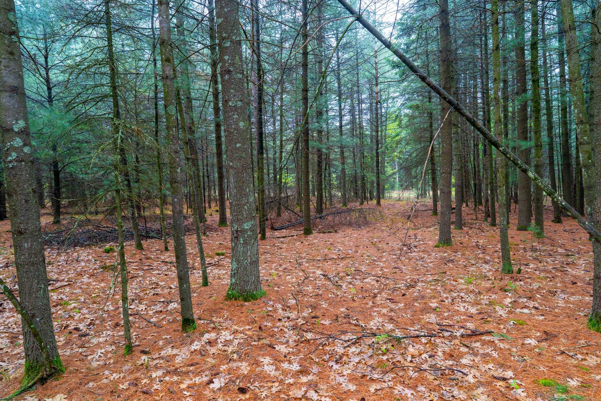 1804 4th Drive Friendship, WI 53934 - Photo 36 of 50