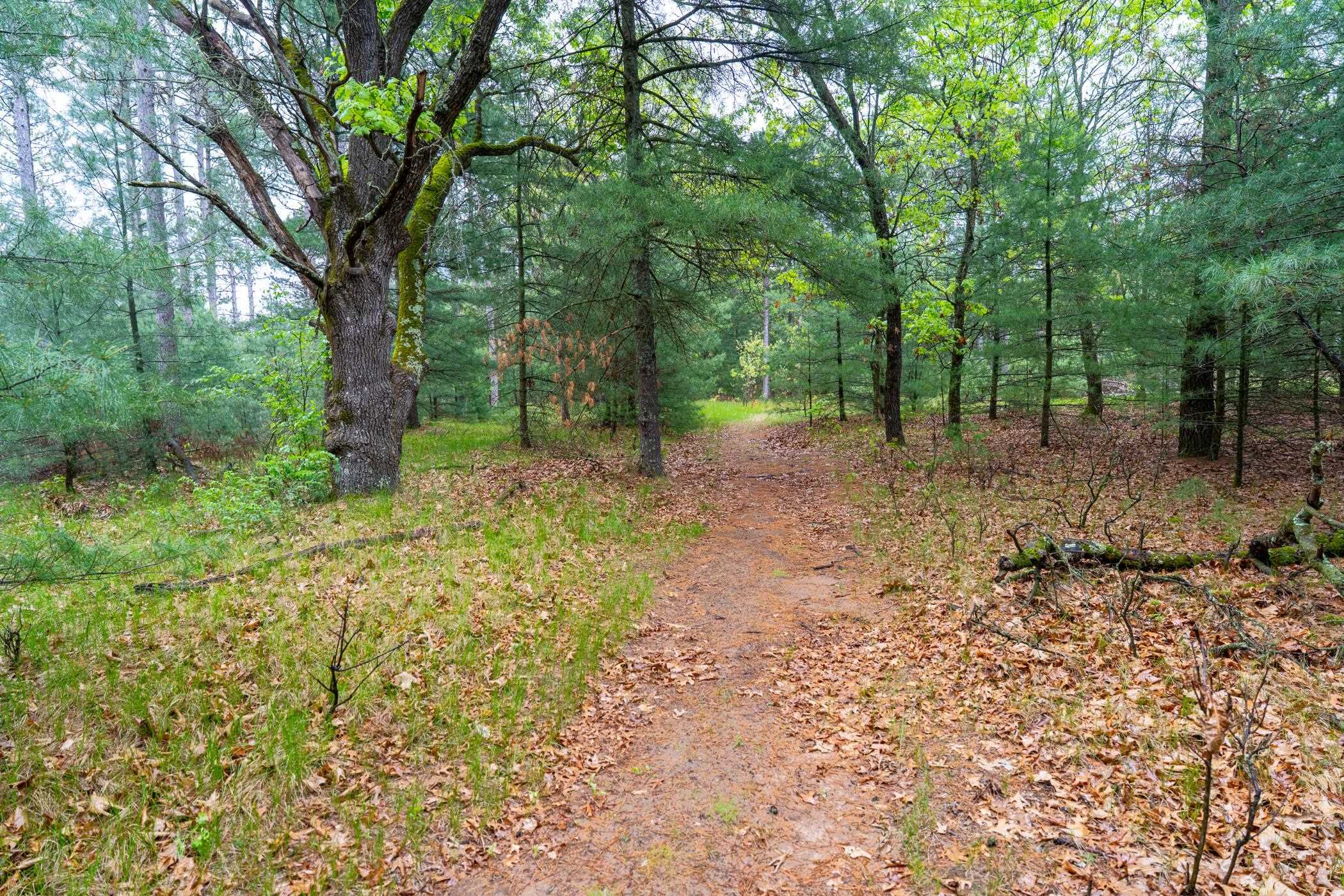 1804 4th Drive Friendship, WI 53934 - Photo 37 of 50