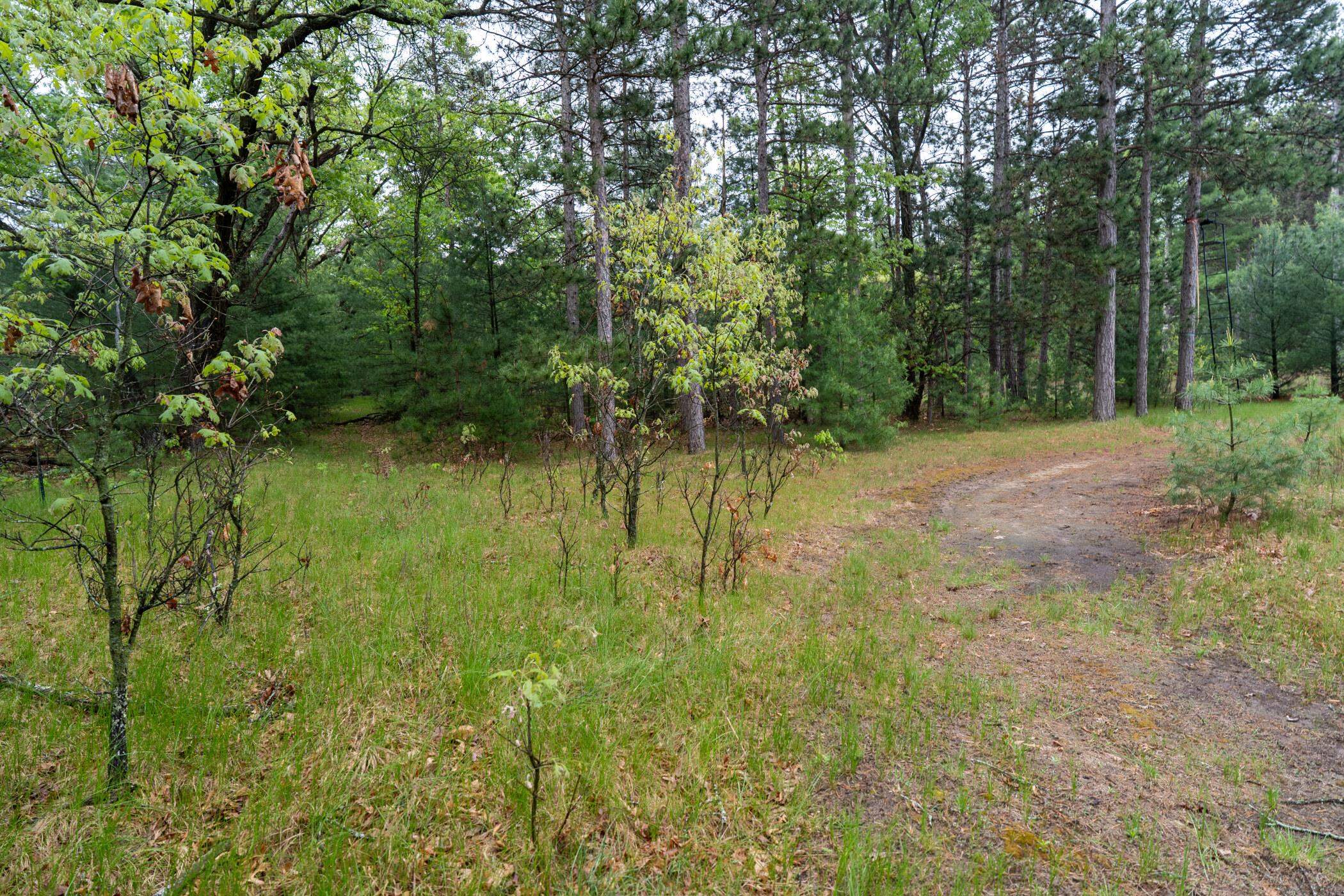 1804 4th Drive Friendship, WI 53934 - Photo 38 of 50