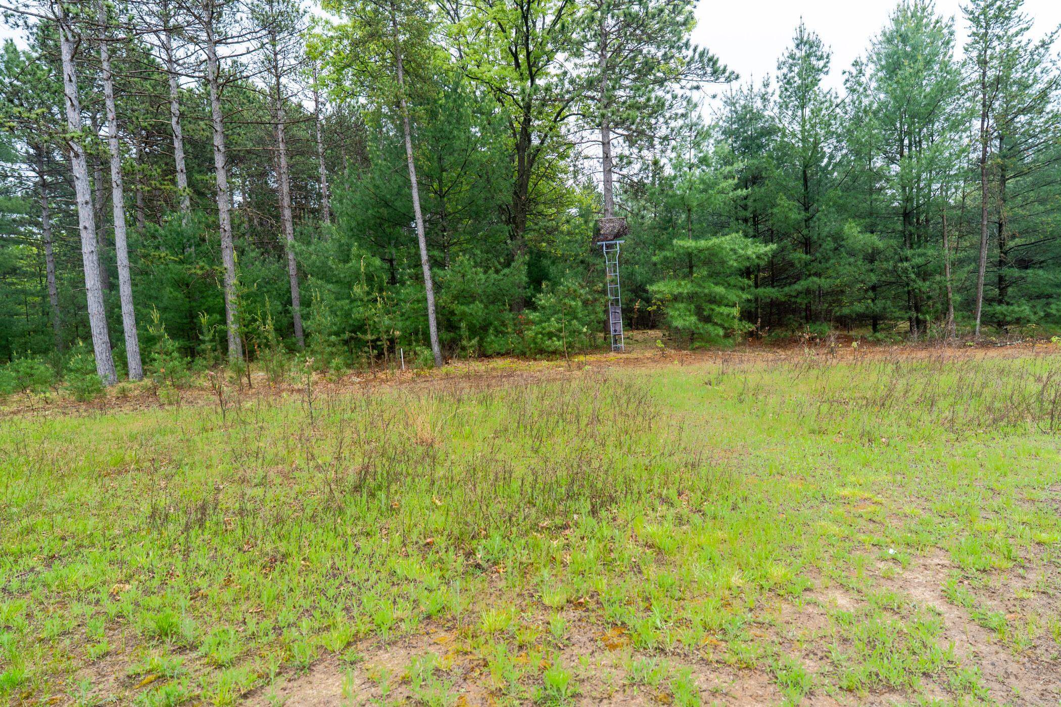 1804 4th Drive Friendship, WI 53934 - Photo 39 of 50