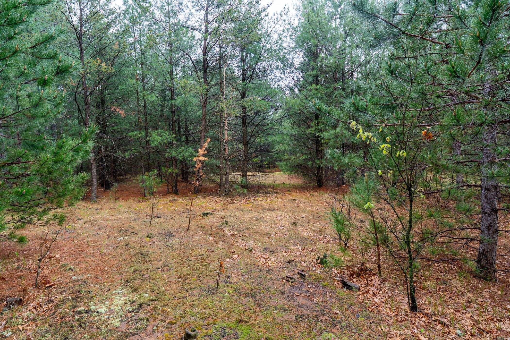 1804 4th Drive Friendship, WI 53934 - Photo 40 of 50