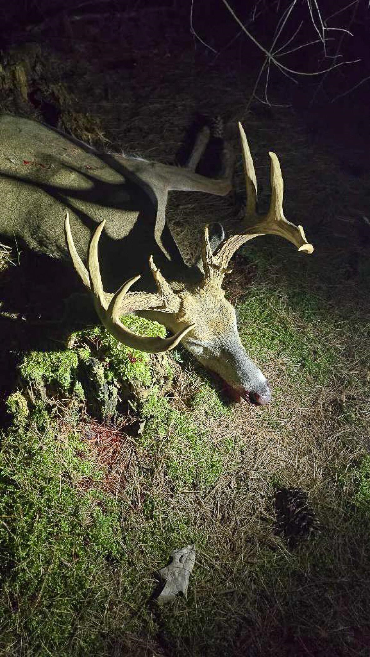 1804 4th Drive Friendship, WI 53934 - Photo 43 of 50