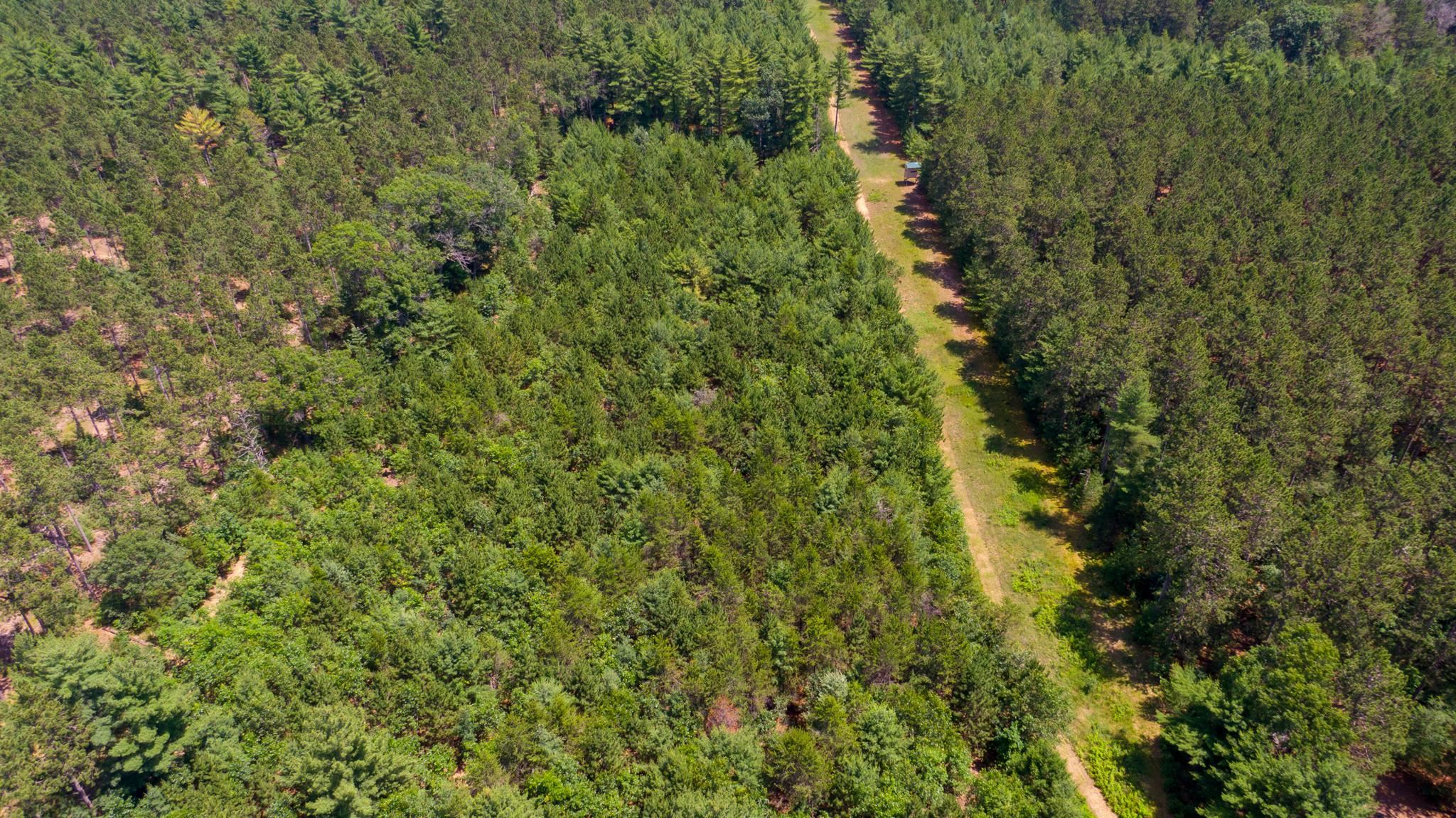 1804 4th Drive Friendship, WI 53934 - Photo 10 of 50