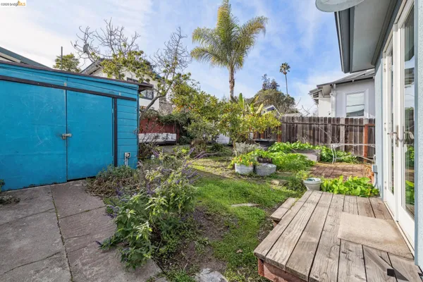 a view of backyard with potted plants
