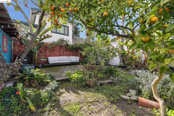 a house view with a backyard space