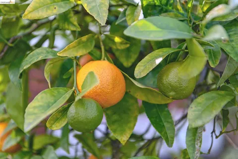 $695,000 | 1066 Bayview Avenue, Oakland, CA 94610