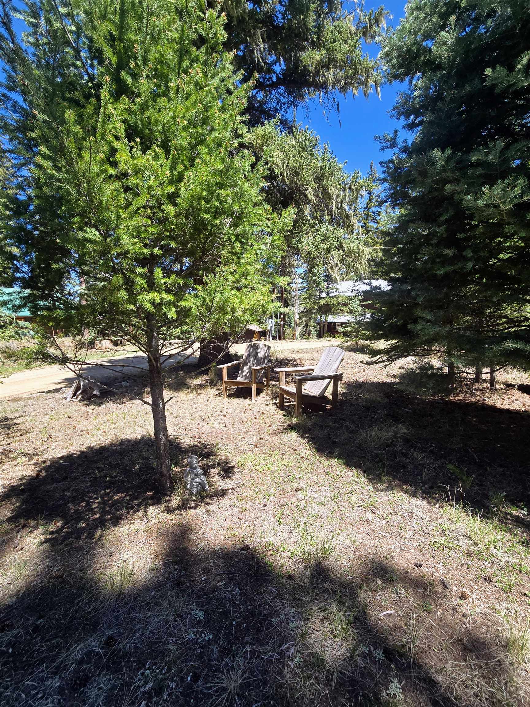 46 Clint Road Taos, NM 87571 - Photo 43 of 50