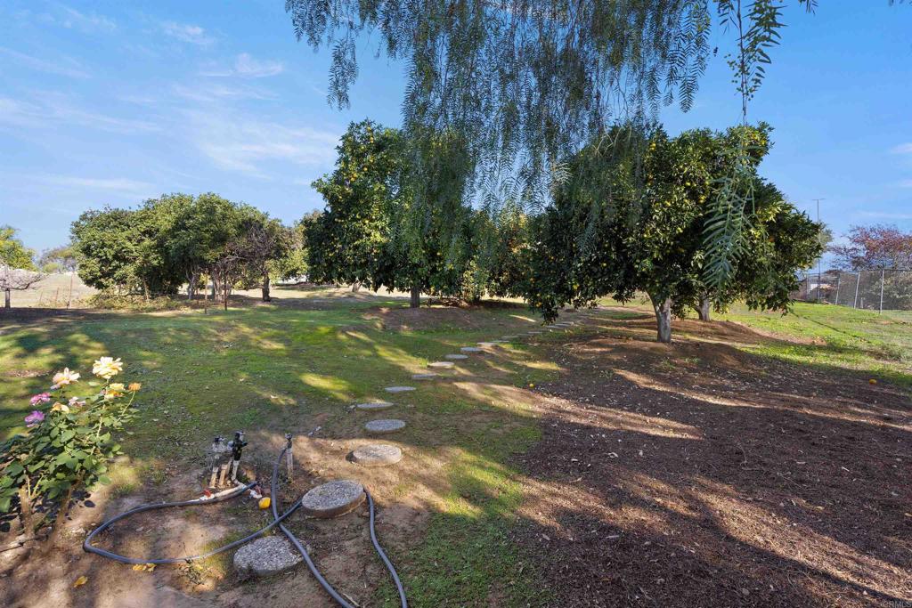 1520 Via Rancho Parkway Escondido, CA 92029 - Photo 55 of 60