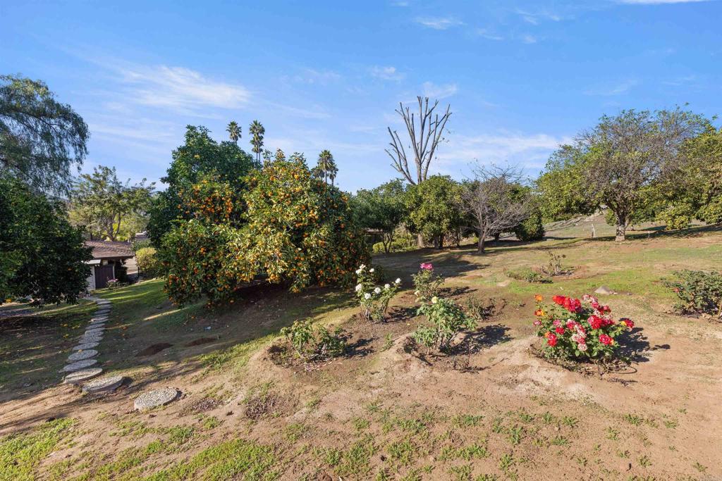 1520 Via Rancho Parkway Escondido, CA 92029 - Photo 57 of 60