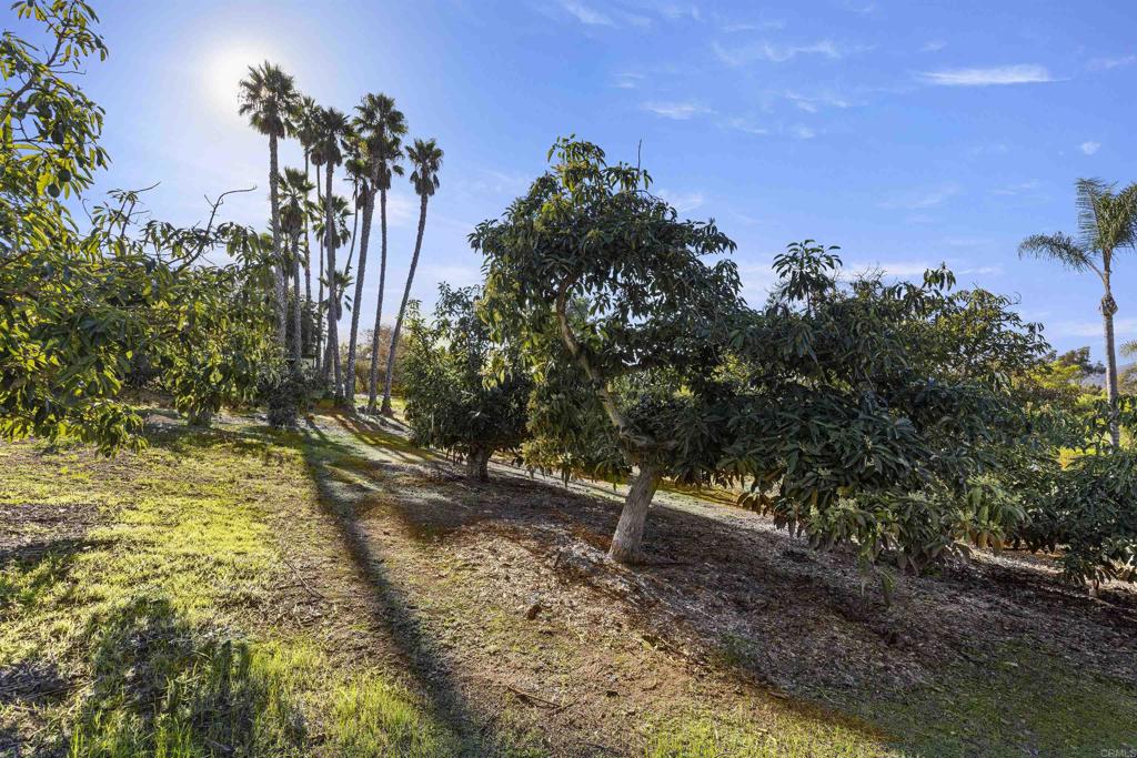 1520 Via Rancho Parkway Escondido, CA 92029 - Photo 58 of 60